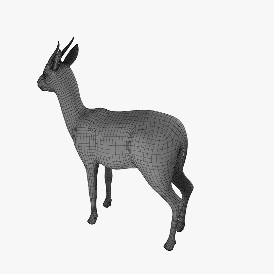 3d model thomson gazelle fawn - https://p.turbosquid.com/ts-thumb/y1/8K0kBw/az6rE947/gazellefawn_v002.0003/jpg/1458926659/1920x1080/fit_q87/7551971520a9126cab22550da69fc6bb94f6b1d8/gazellefawn_v002.0003.jpg