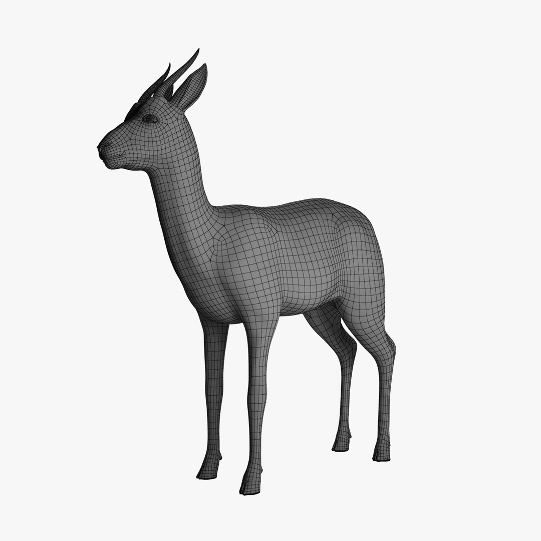3d model thomson gazelle fawn - https://p.turbosquid.com/ts-thumb/y1/8K0kBw/fLNiuZGK/gazellefawn_v002.0001/jpg/1458926659/1920x1080/fit_q87/93594e1d433c82ad10f52de9b74285ac097ddee7/gazellefawn_v002.0001.jpg