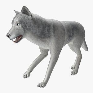 wolf rigged 2 3d max