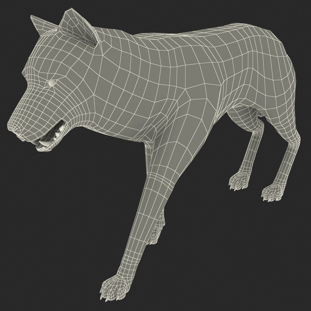 Wolf Rigged 2 3d Max