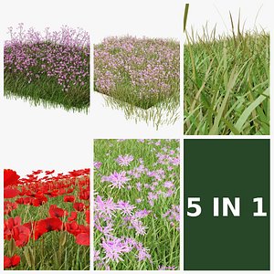 Wild Meadow & Wetland Vegetation Bundle - 5 Scatterable Grass and Wildflower Field Sets