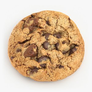 Chocolate Chip Cookie - 3D Scanned 3D model