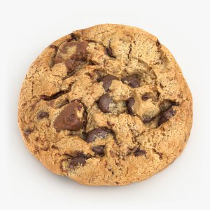 Chocolate Chip Cookie - 3D Scanned