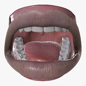 MTH-002 Rigged Mouth