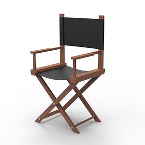 3d director chair