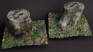 Tree Stump with Grass 3D model
