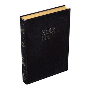 3D bible book model