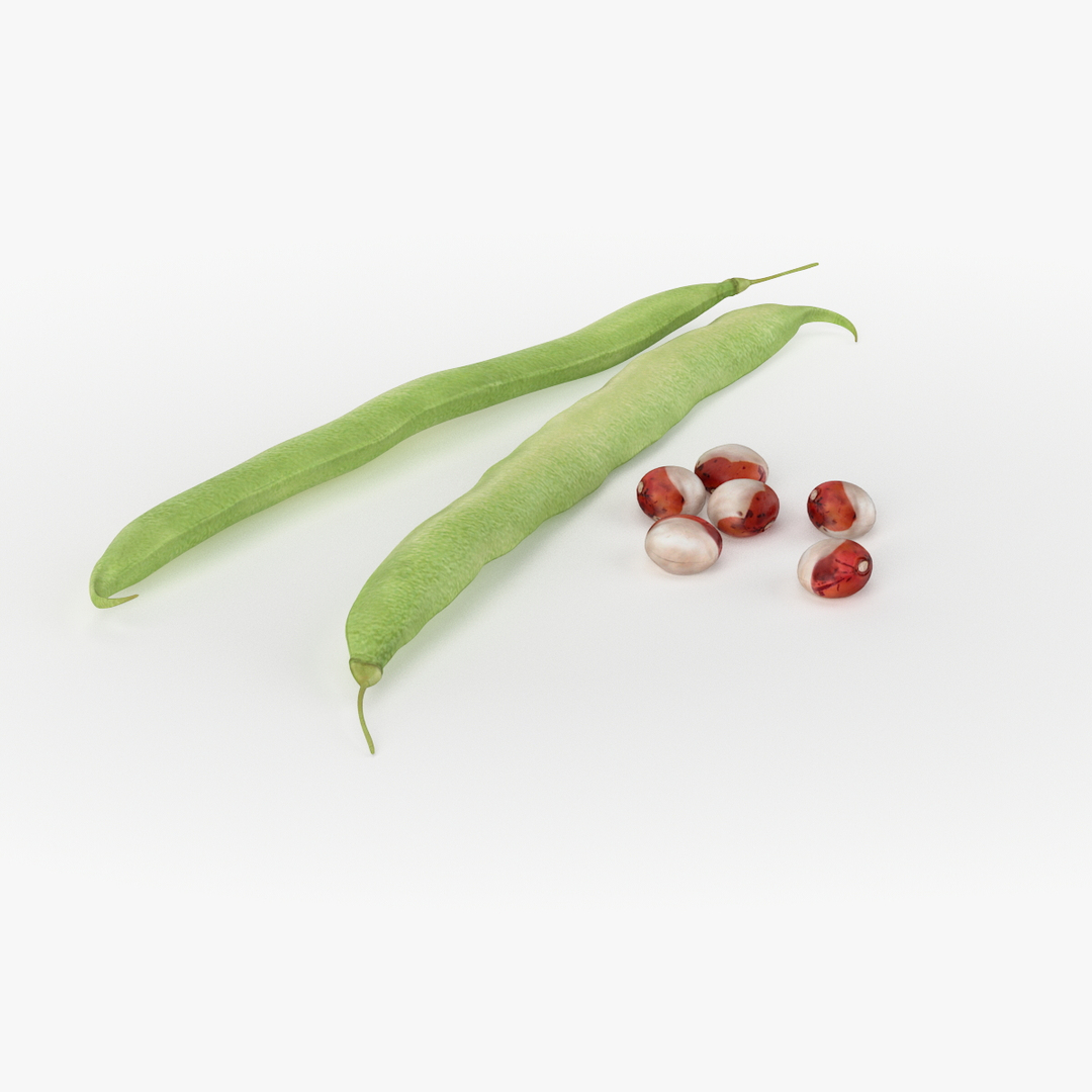 Max Realistic Beans Real