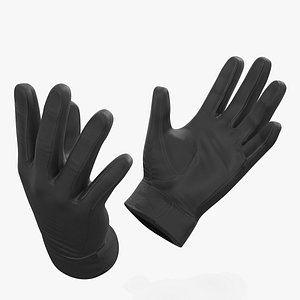 Black Gloves model