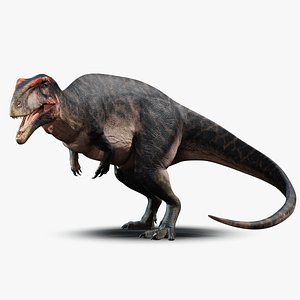 Carcharodontosaurus Rig 3D model