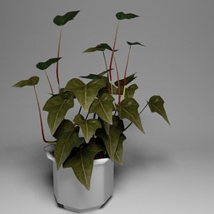 ivy pot 3d obj