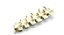 Animal Spine