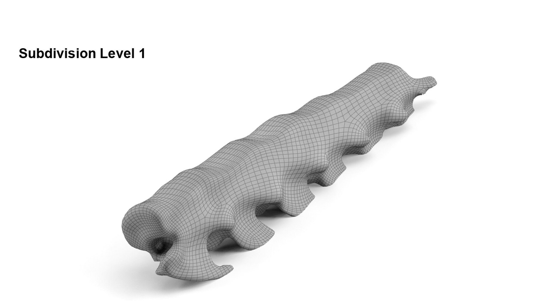 realistic animal spine 3ds https://p.turbosquid.com/ts-thumb/y3/JI3kI5/y93sBRph/ss1/jpg/1436457338/1920x1080/fit_q87/2fc57d29c14388114c49435a97b7737958029672/ss1.jpg