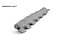 Animal Spine