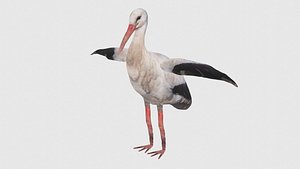Low Poly Stork Rigged With Realistic Texture