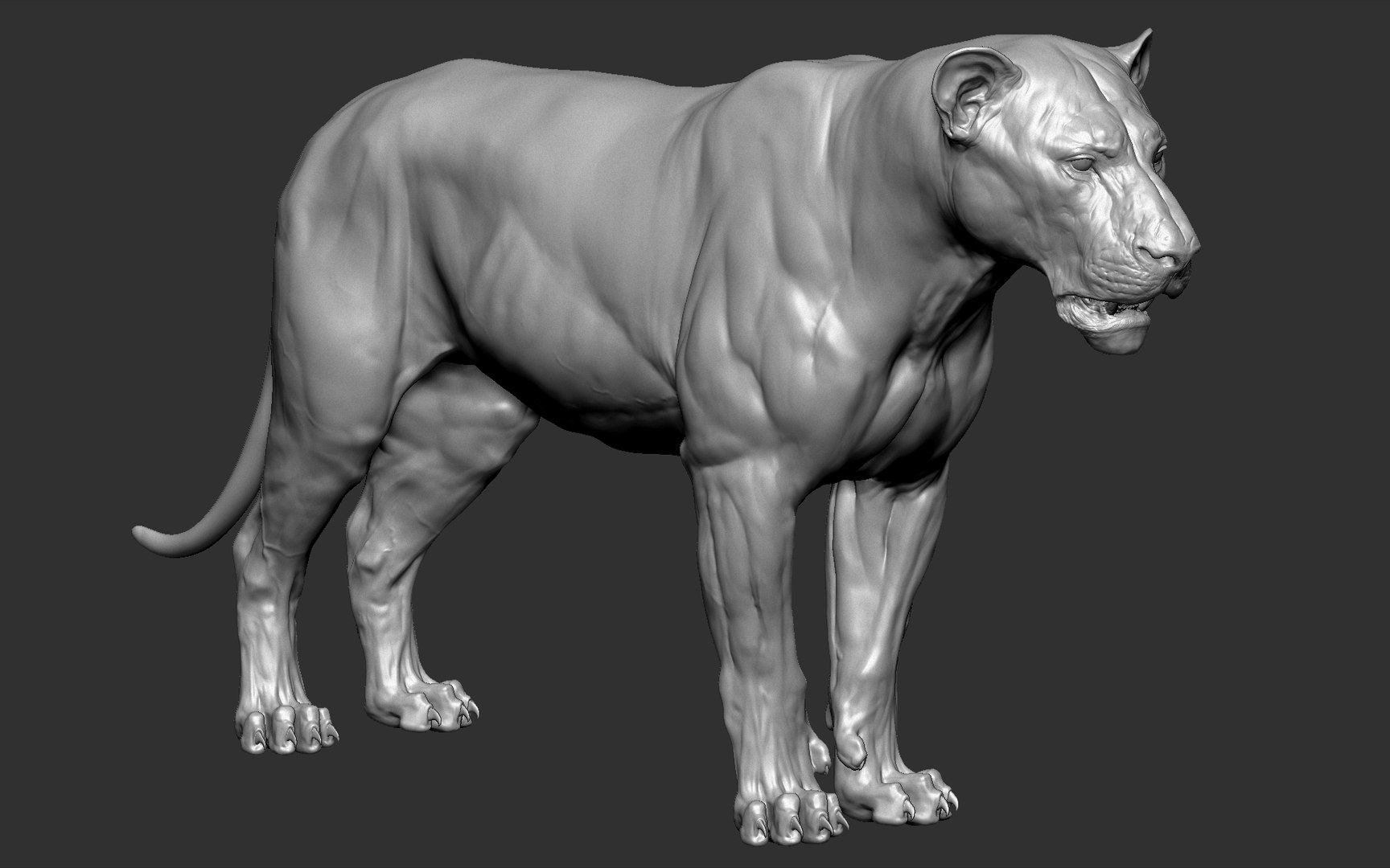 3D lion powerful big cat - TurboSquid 1495550