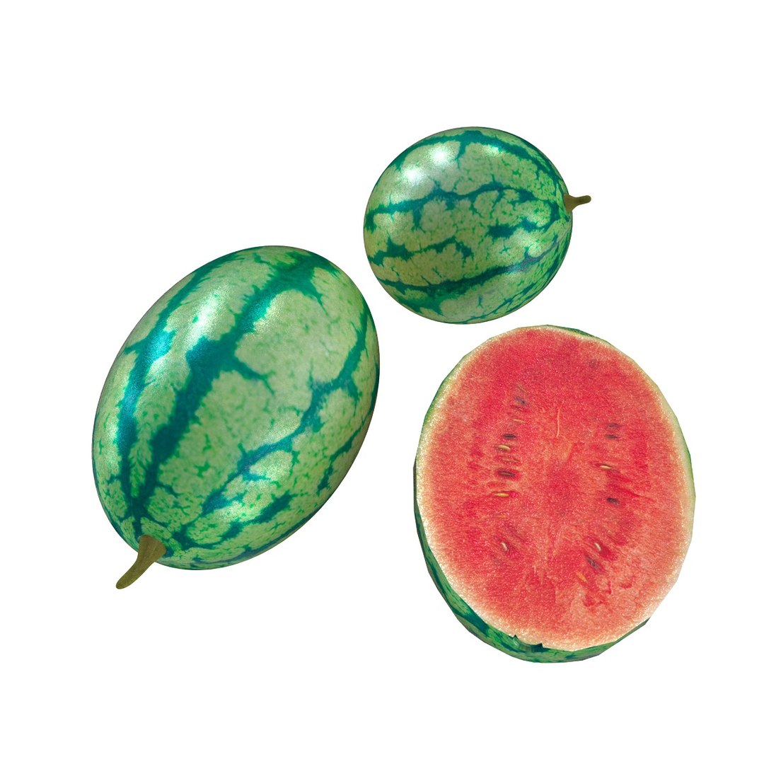 fruits coconut apples 3D model https://p.turbosquid.com/ts-thumb/y3/YUYDEW/2zG6Wwpt/watermelon/jpg/1586879401/1920x1080/fit_q87/01c16ea1a147785c6042ba7462f208895a3a33ee/watermelon.jpg