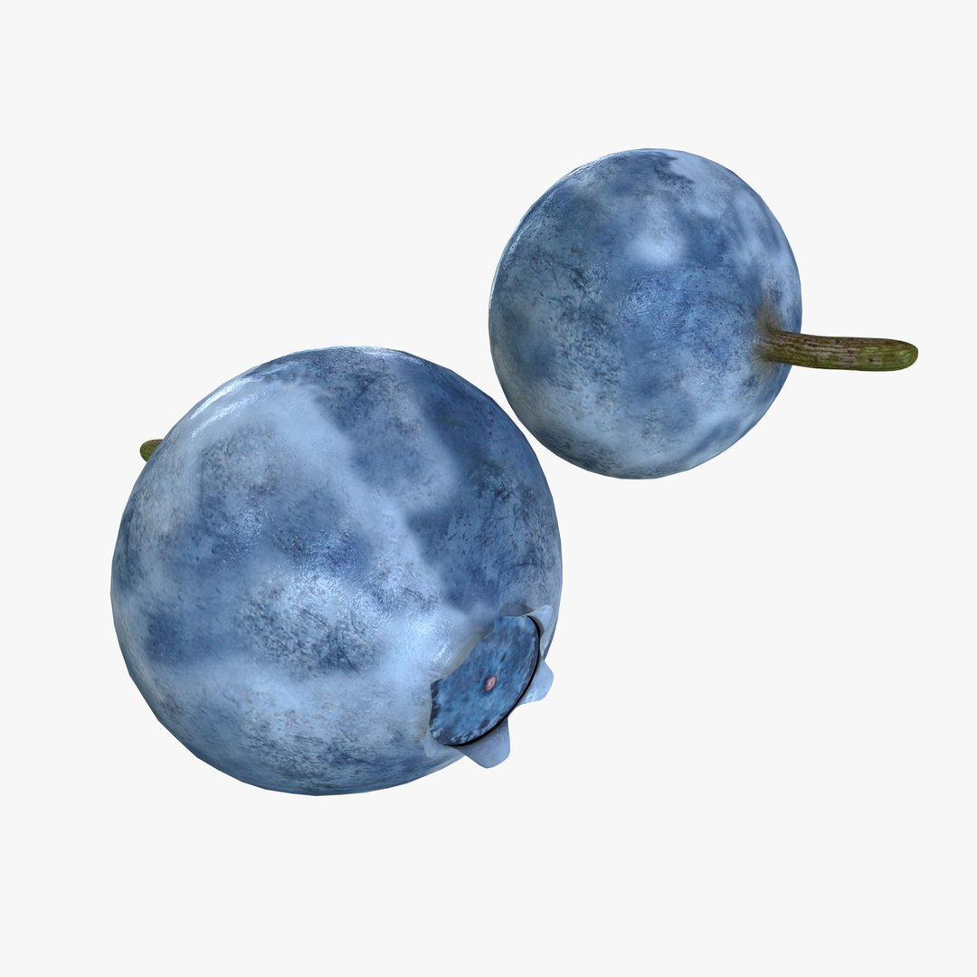 fruits coconut apples 3D model https://p.turbosquid.com/ts-thumb/y3/YUYDEW/6SrE8hv0/bilberry/jpg/1586879399/1920x1080/fit_q87/f1bc4e8a65a73bd8d171901adb4446e8d8bd0870/bilberry.jpg