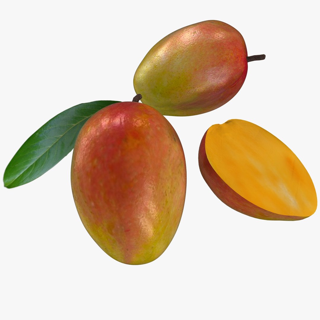 fruits coconut apples 3D model https://p.turbosquid.com/ts-thumb/y3/YUYDEW/6TaK0szA/mango/jpg/1586879400/1920x1080/fit_q87/1508a57bb19f5c9074da1081507334ba2781c844/mango.jpg
