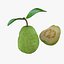 Colección Mega Fruits Low Poly