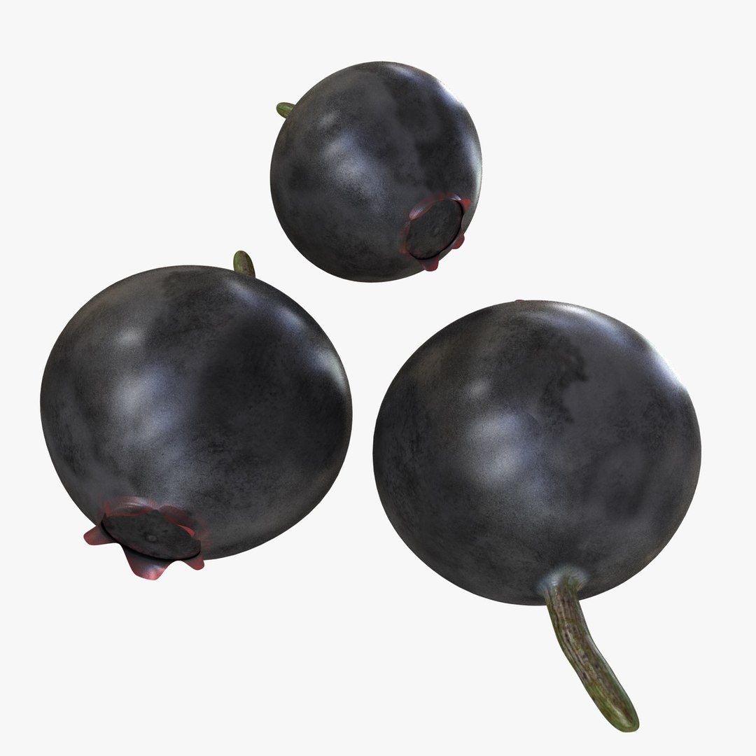 fruits coconut apples 3D model https://p.turbosquid.com/ts-thumb/y3/YUYDEW/Aud7Y1q4/huckleberry/jpg/1586879399/1920x1080/fit_q87/bac9974e1d18639fe003423ed30d3c330b6ec1c1/huckleberry.jpg