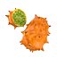 Colección Mega Fruits Low Poly