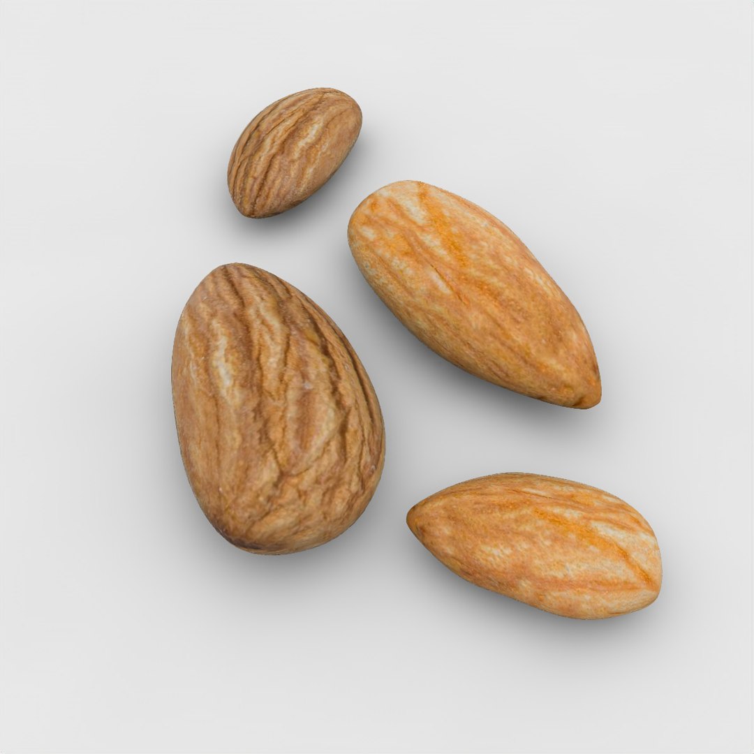 fruits coconut apples 3D model https://p.turbosquid.com/ts-thumb/y3/YUYDEW/MqGT6hTr/almonds2/jpg/1586879399/1920x1080/fit_q87/4bd987ba8f0ad4d51dde1b9d7b1cf9dffa812a51/almonds2.jpg