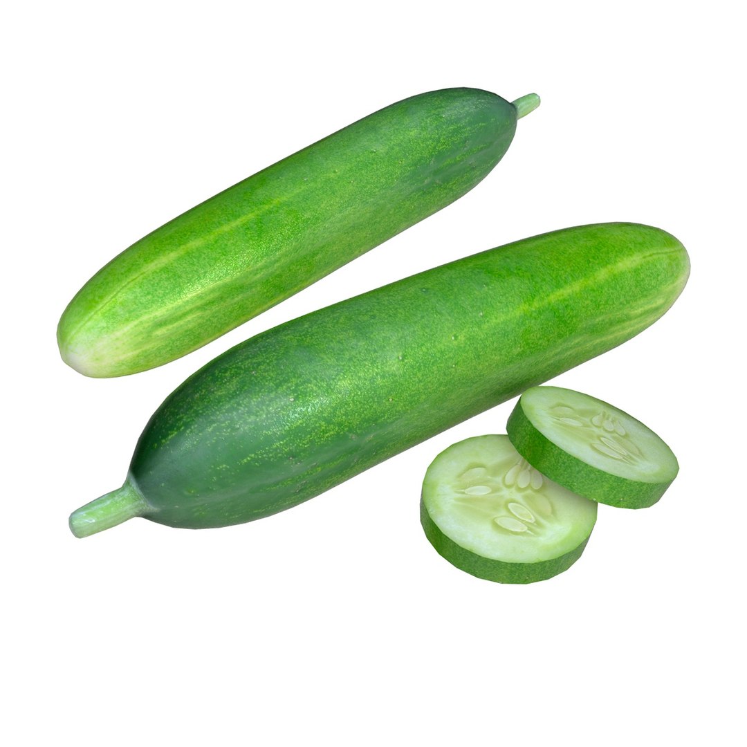 fruits coconut apples 3D model https://p.turbosquid.com/ts-thumb/y3/YUYDEW/NTZa6I5N/cucumber/jpg/1586879399/1920x1080/fit_q87/c1b7f4c80f281af670f3b50b8746f6e3cb98afa4/cucumber.jpg