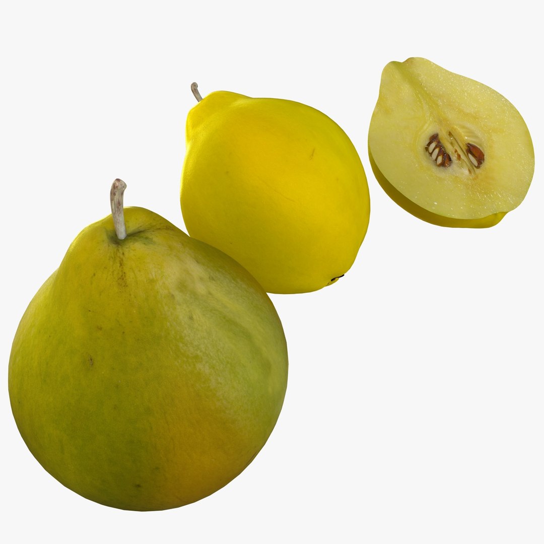 fruits coconut apples 3D model https://p.turbosquid.com/ts-thumb/y3/YUYDEW/QzJ4fdPR/quince/jpg/1586879401/1920x1080/fit_q87/2a8733a4b3cbfeedfa7e864d3f2101e56af6681f/quince.jpg