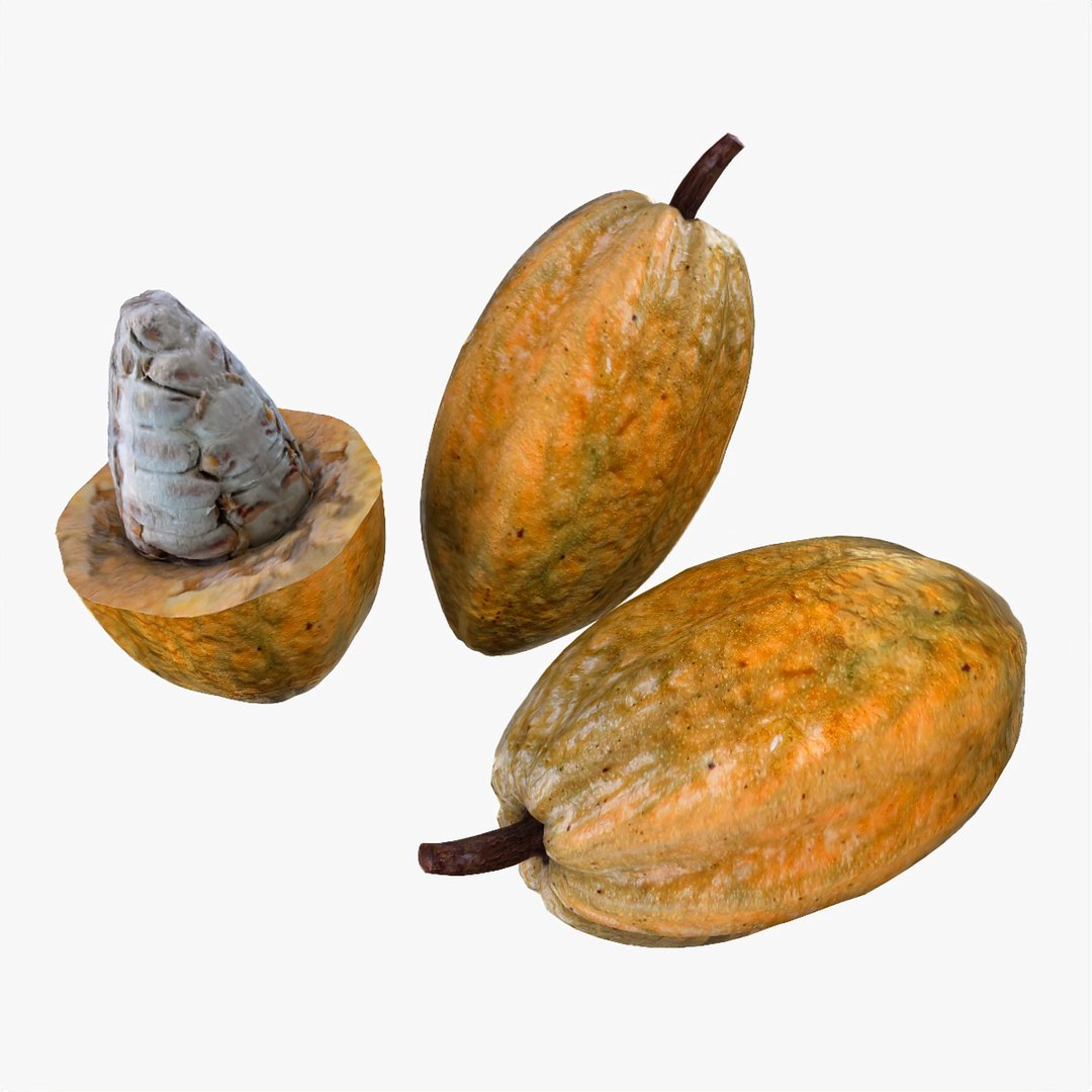 fruits coconut apples 3D model https://p.turbosquid.com/ts-thumb/y3/YUYDEW/WYmFHLCL/cocoa/jpg/1586879399/1920x1080/fit_q87/9e4798883af52bb07fc86e77377f5910618f988f/cocoa.jpg