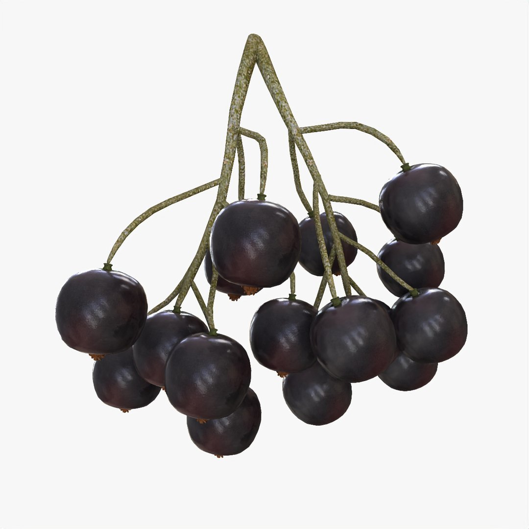 fruits coconut apples 3D model https://p.turbosquid.com/ts-thumb/y3/YUYDEW/ZXKq2UUo/blackcurrant/jpg/1586879399/1920x1080/fit_q87/44757aff8869d1dd7026450b7cd18cc43dc1ba91/blackcurrant.jpg