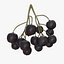 Colección Mega Fruits Low Poly