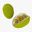 Colección Mega Fruits Low Poly