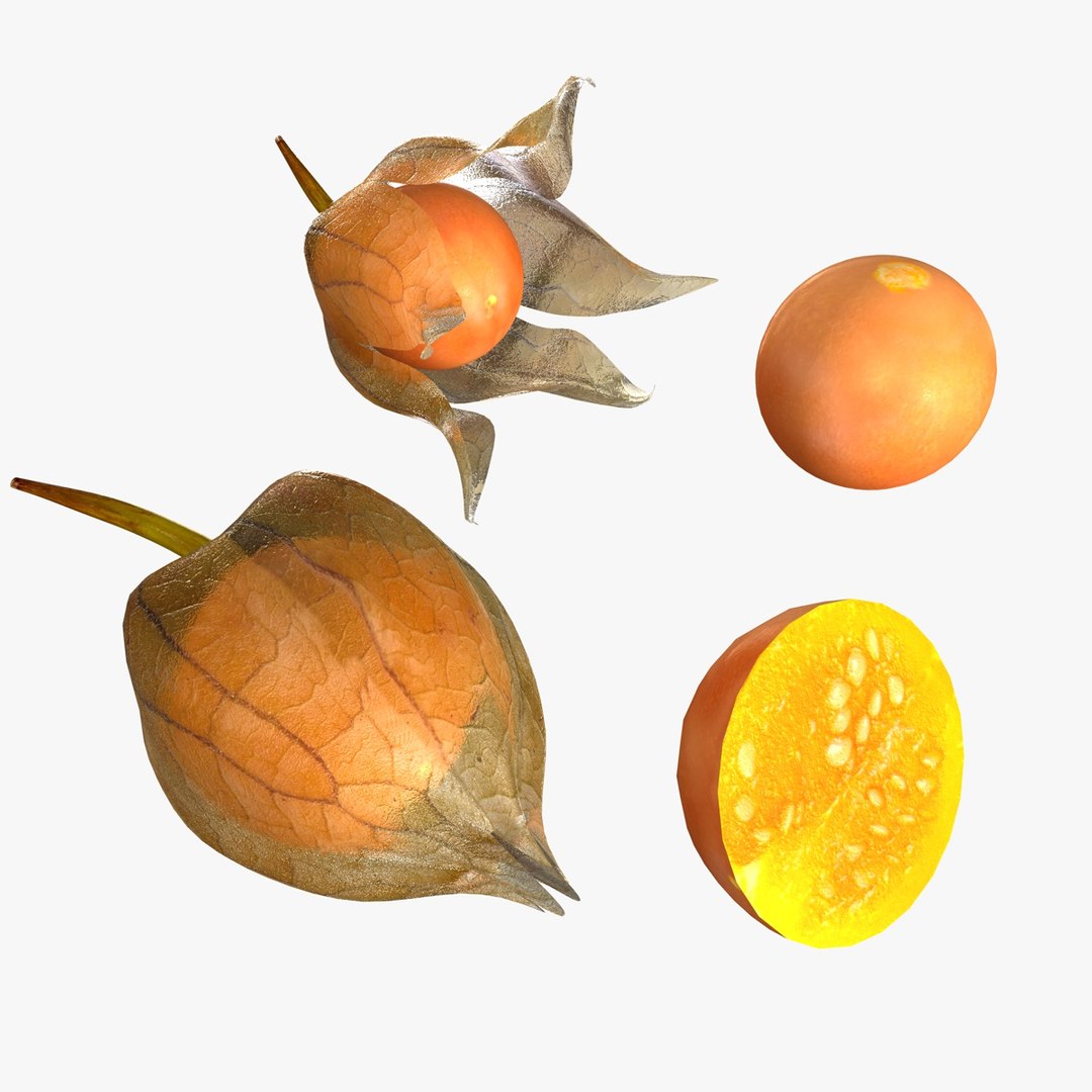 fruits coconut apples 3D model https://p.turbosquid.com/ts-thumb/y3/YUYDEW/dmmvfjAD/physalis/jpg/1586879400/1920x1080/fit_q87/d0a557c8d91b0fe6cd344e97adebc6a7f3c61e45/physalis.jpg