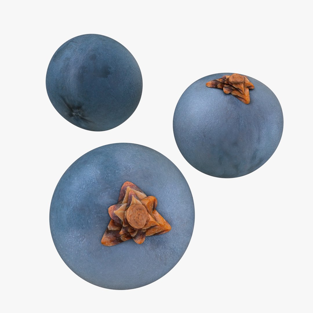 fruits coconut apples 3D model https://p.turbosquid.com/ts-thumb/y3/YUYDEW/dtqA3o1r/juniperberry/jpg/1586879400/1920x1080/fit_q87/d65c7f23c672dfb977d1e226778569b2ba25574b/juniperberry.jpg