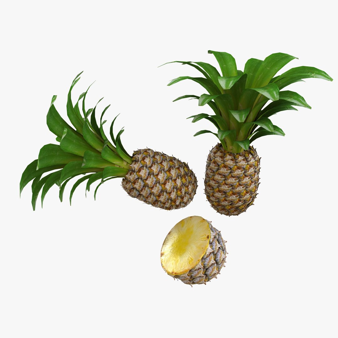 fruits coconut apples 3D model https://p.turbosquid.com/ts-thumb/y3/YUYDEW/hM5ffyRl/pineapple/jpg/1586879401/1920x1080/fit_q87/983bfd61681d621dc7c1ef5ae29531f67f9c6f6c/pineapple.jpg