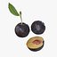 Colección Mega Fruits Low Poly
