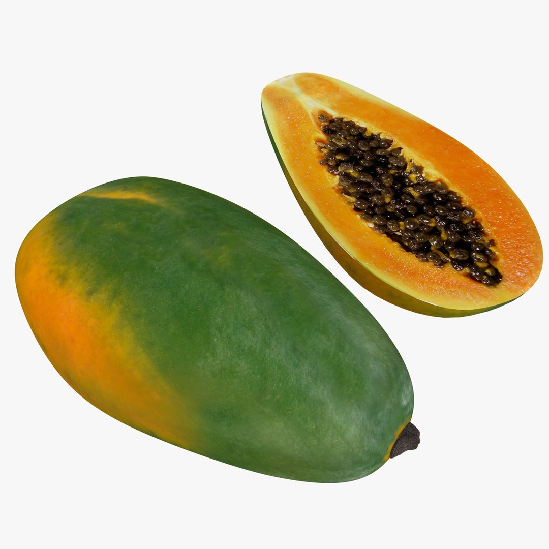 fruits coconut apples 3D model https://p.turbosquid.com/ts-thumb/y3/YUYDEW/kYc3RFA9/papaya/jpg/1586879400/1920x1080/fit_q87/f75173638b5a3021334faf537b8b8678becbf851/papaya.jpg