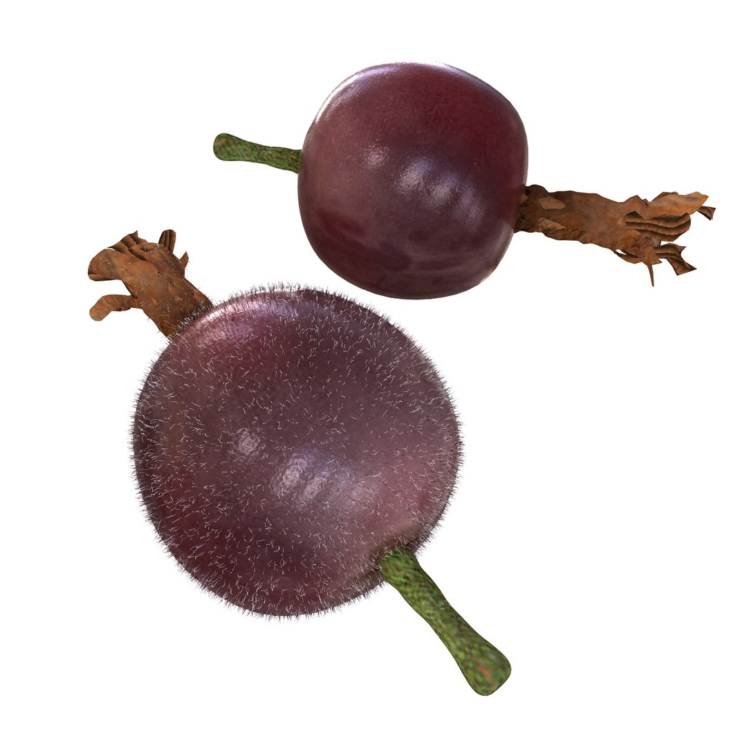 fruits coconut apples 3D model https://p.turbosquid.com/ts-thumb/y3/YUYDEW/vJojorqs/jostaberry/jpg/1586879399/1920x1080/fit_q87/e151a7eafcb2257264146920aeec2726ef4cadf5/jostaberry.jpg