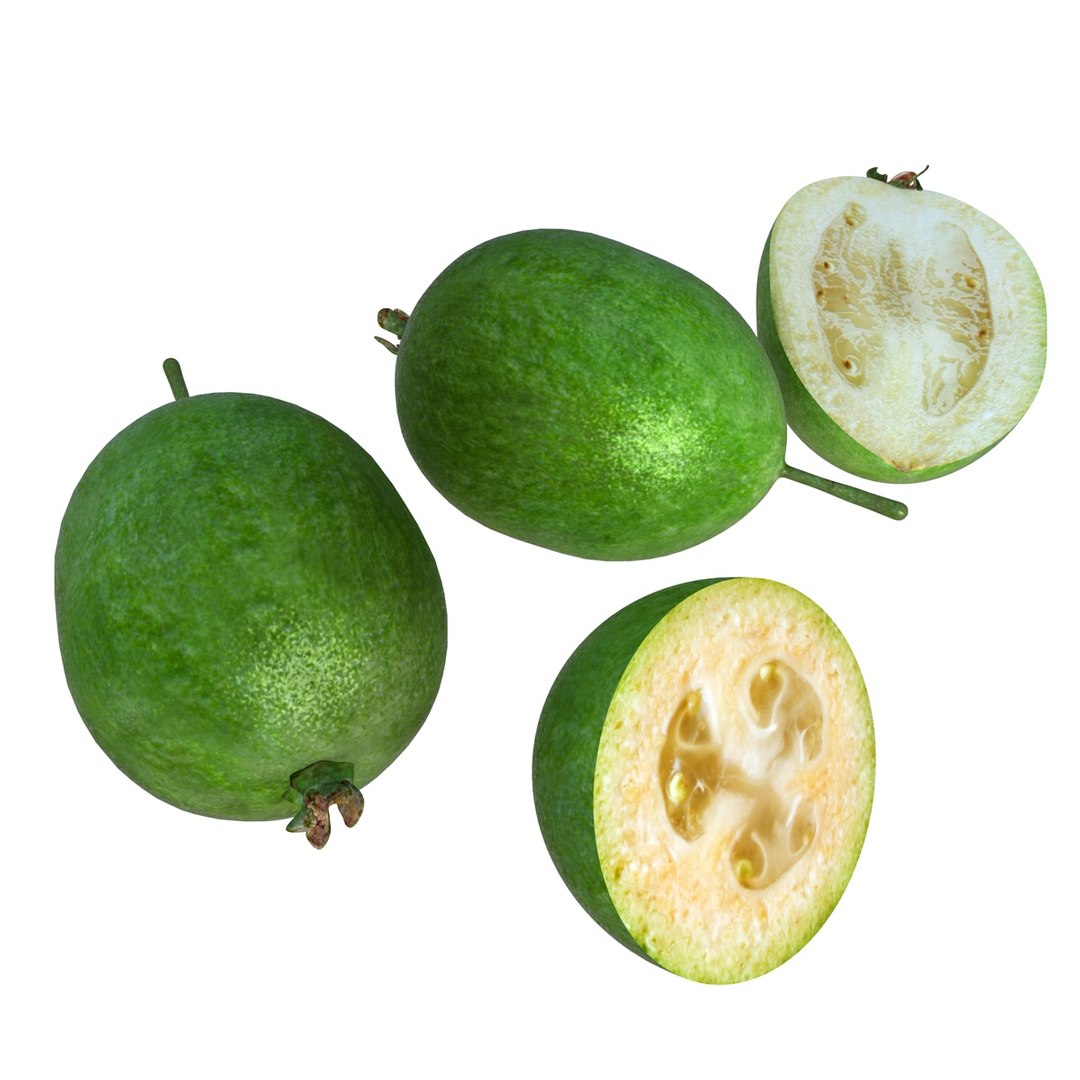 fruits coconut apples 3D model https://p.turbosquid.com/ts-thumb/y3/YUYDEW/ydSf1xZh/feijoa/jpg/1586879399/1920x1080/fit_q87/ed873430d151fa74c76ffc97dfa240f34ae1abbc/feijoa.jpg