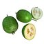 Colección Mega Fruits Low Poly