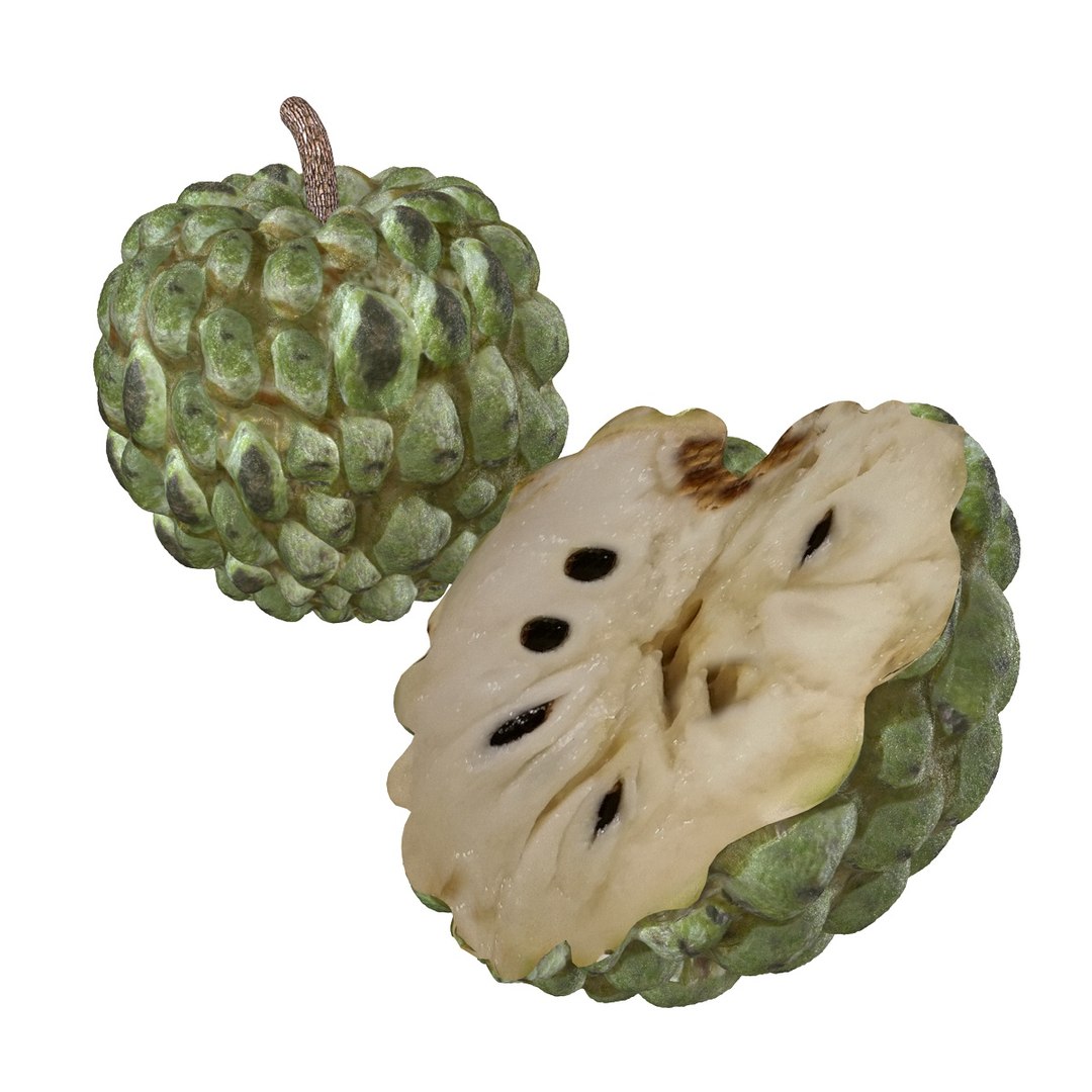 fruits coconut apples 3D model https://p.turbosquid.com/ts-thumb/y3/YUYDEW/z2WLItM5/sugarapple/jpg/1586879401/1920x1080/fit_q87/00ae714a182b3b789ca6aaf52c7e826cb6ed50dc/sugarapple.jpg