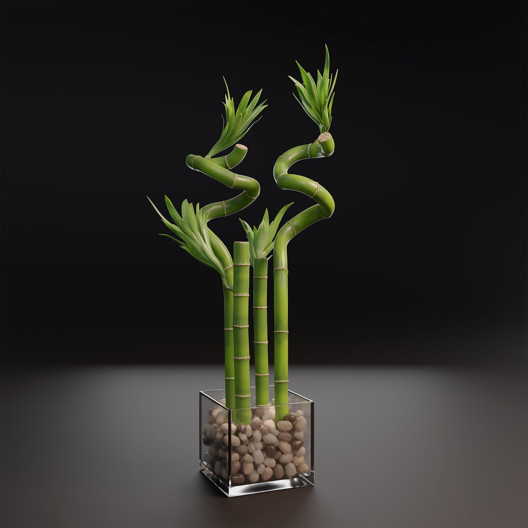 3D Lucky Bamboo Decorative Vase TurboSquid 2048198   Luckybamboos Pot 