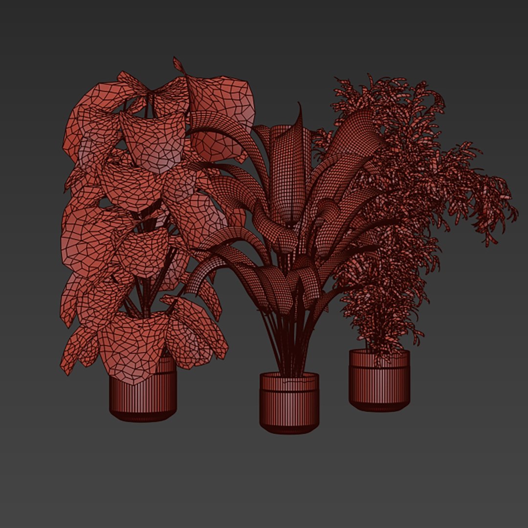 3D model Collection plant vol 813 - banana - aspidistra - monstera https://p.turbosquid.com/ts-thumb/y3/hePj2A/Tu/6/jpg/1767489640/1920x1080/fit_q87/0de28924e9af1b5a6cb8d53ad33bb514c121155c/6.jpg
