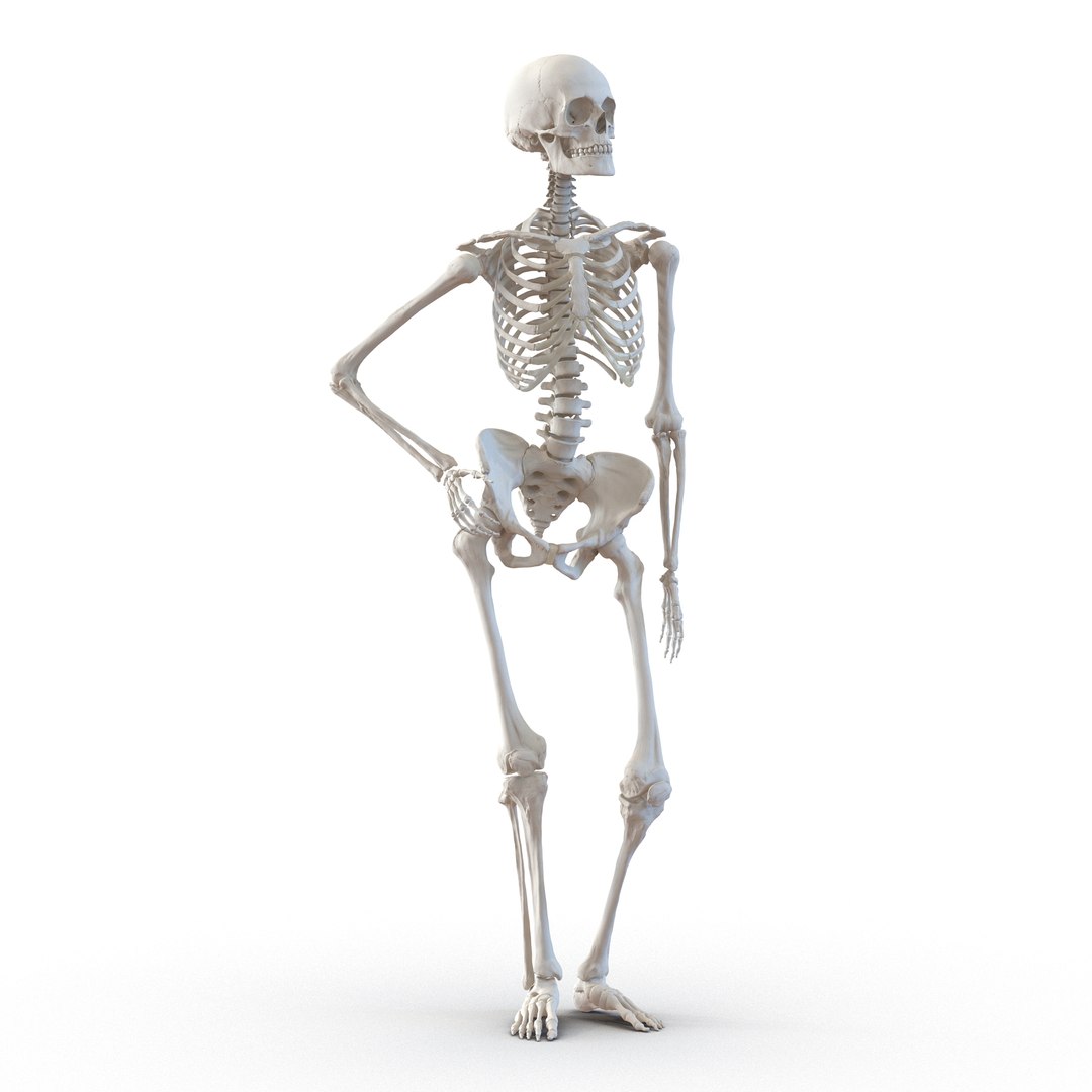 Skeleton Pose Painting by Gregory Dyer - Fine Art America