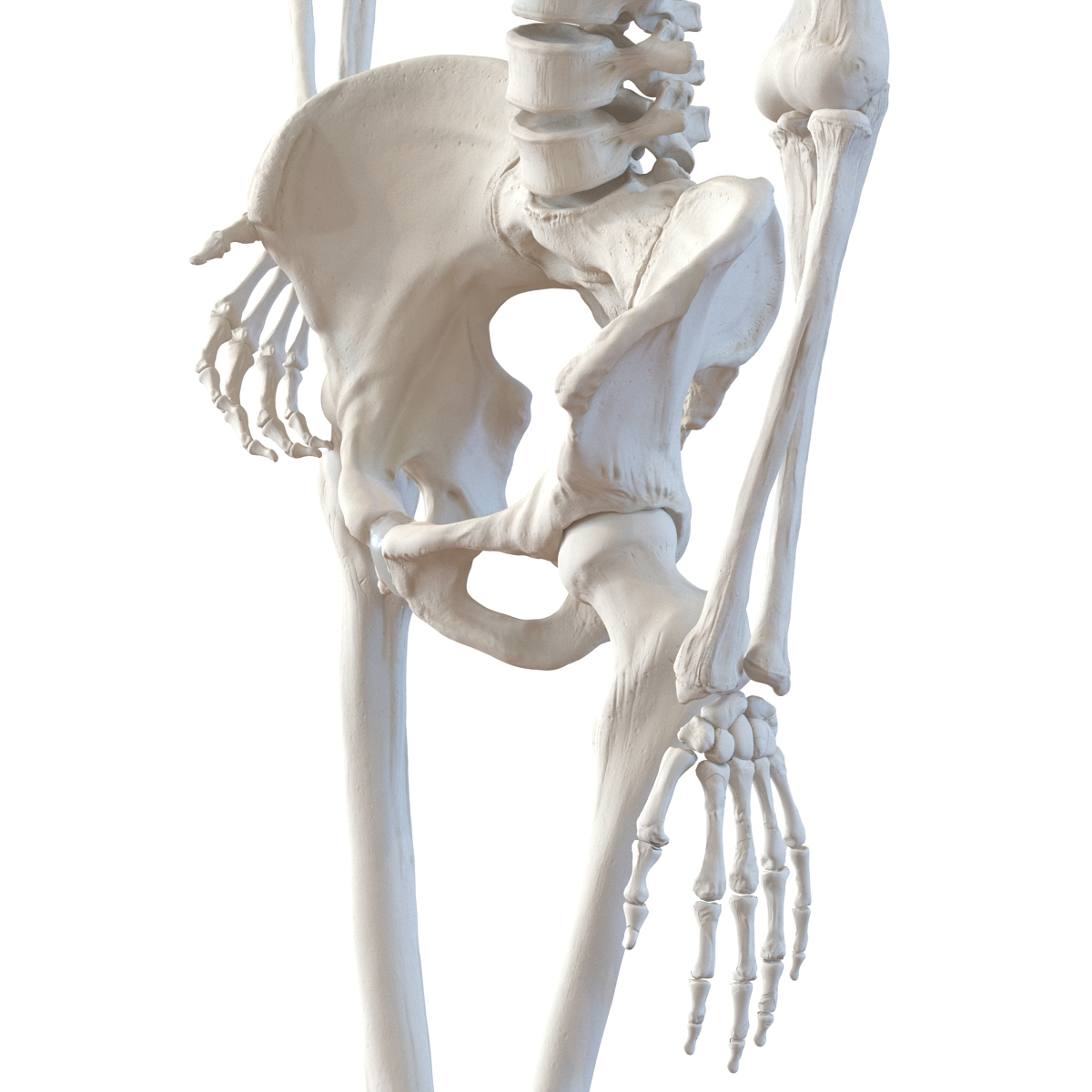 3d human female skeleton pose