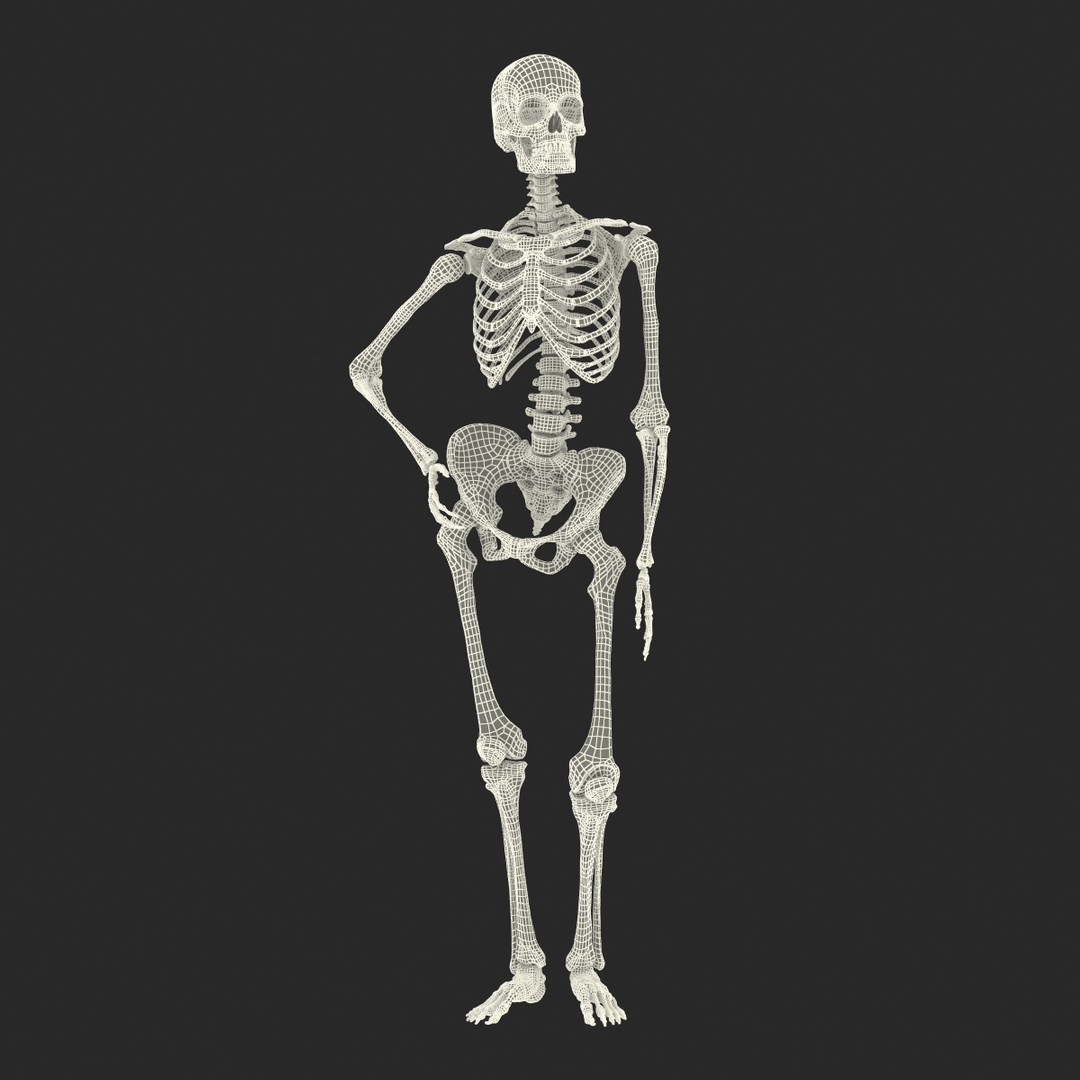 Human Skeleton with Iroquois Smoking Pipe, Funny Dead Man Cartoon Character  Vector Illustration on Dark Background.:: tasmeemME.com