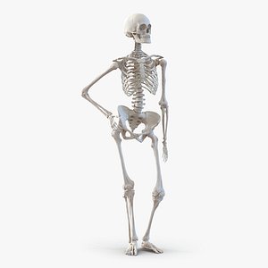 3d human female skeleton pose