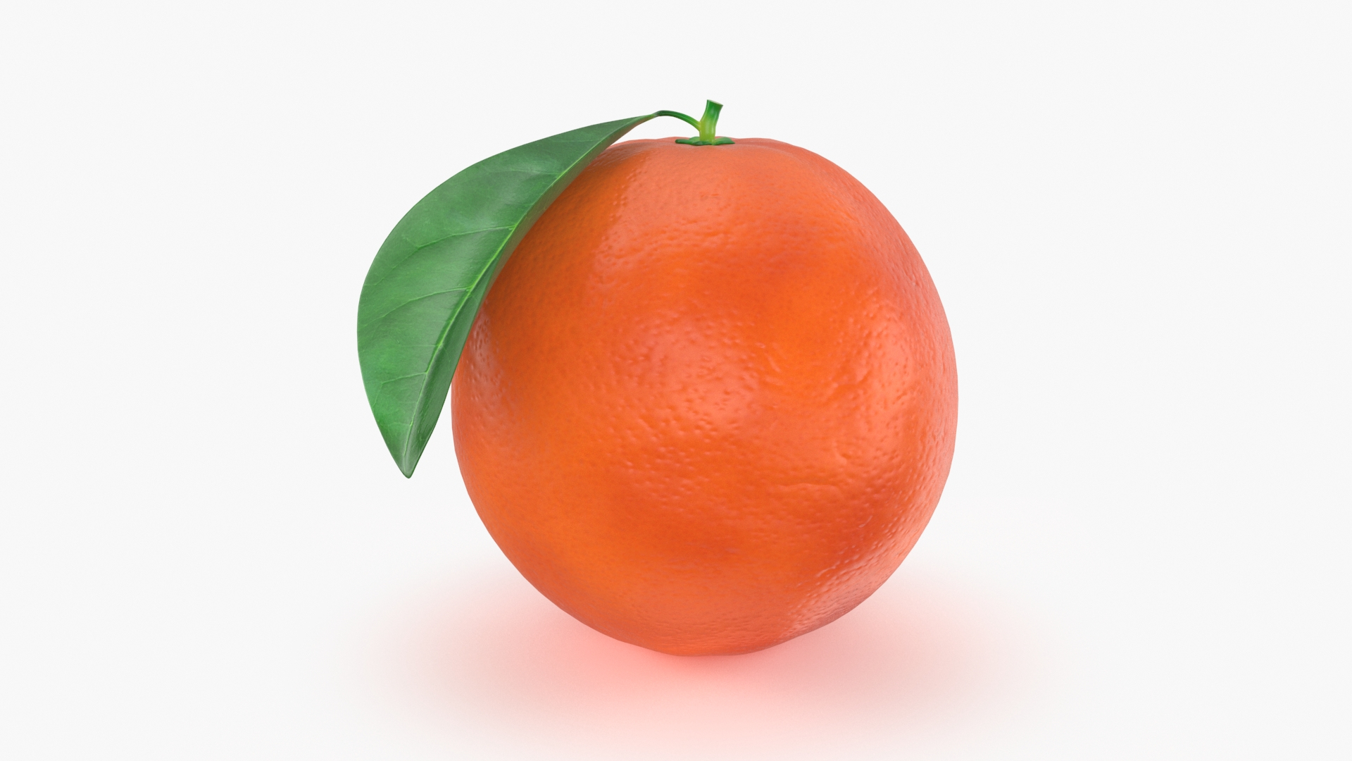 3D model Blood Orange Collection https://p.turbosquid.com/ts-thumb/y3/kYaS1n/1c/bloodorangewhole/jpg/1670179655/1920x1080/turn_fit_q99/b28375fbb0d133934163db8632073a37a702f286/bloodorangewhole-1.jpg