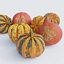 photoscanned pumpkins 3D model